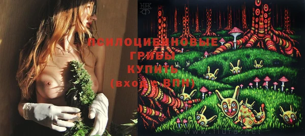 ПСИЛОЦИБИНОВЫЕ ГРИБЫ Абинск