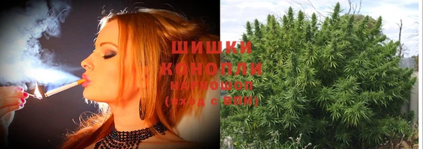 ПСИЛОЦИБИНОВЫЕ ГРИБЫ Абинск
