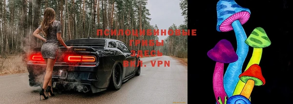 гидра Абдулино