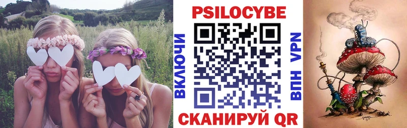 Псилоцибиновые грибы GOLDEN TEACHER МЕГА рабочий сайт Суздаль